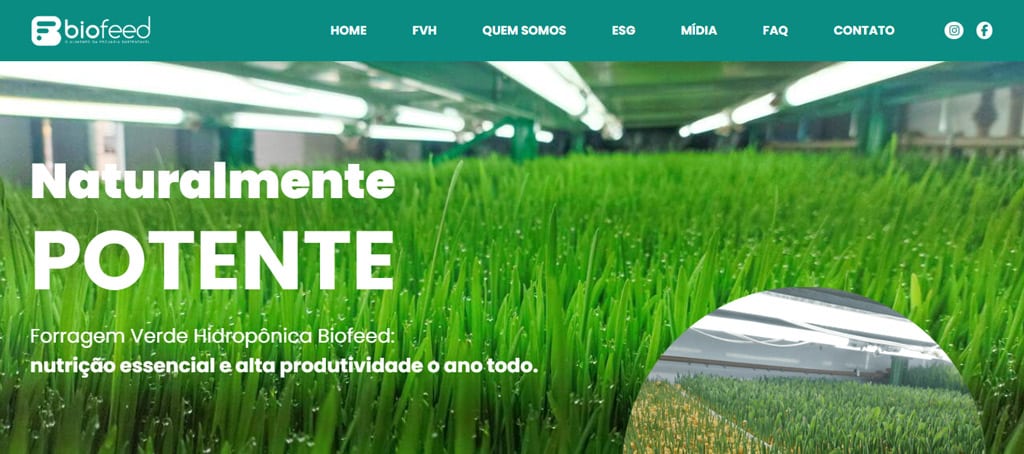 criação de site profissional Biofeed.